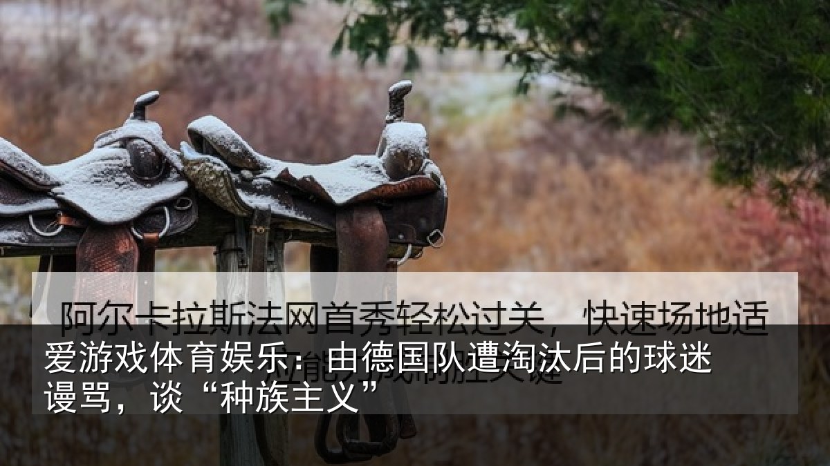 爱游戏体育娱乐：由德相关情况迷谩骂，谈“种族主义”