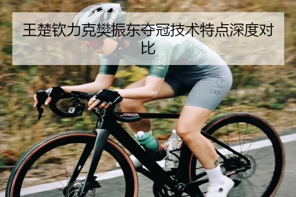 王楚钦力克樊振东夺冠技术特点深度对比