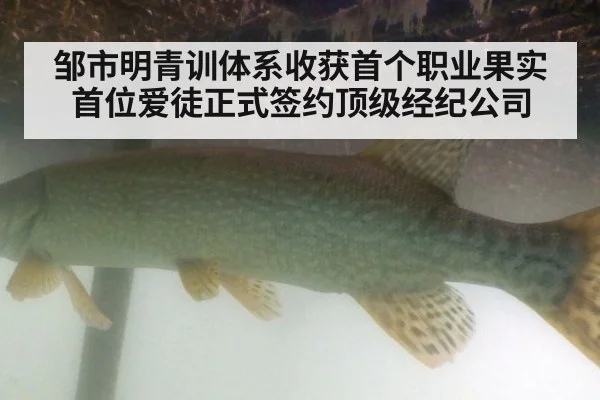 邹市明青训体系收获首个职业果实 首位爱徒正式签约顶级经纪公司